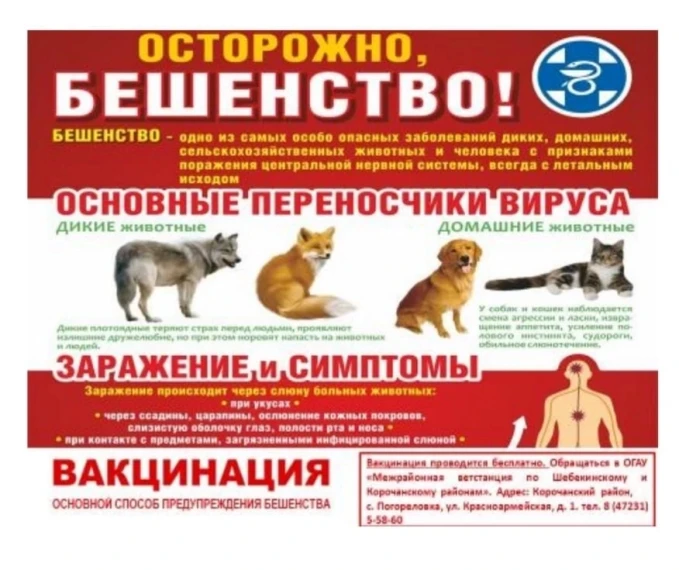 ОСТОРОЖНО, БЕШЕНСТВО!. ОСТОРОЖНО, БЕШЕНСТВО!.
