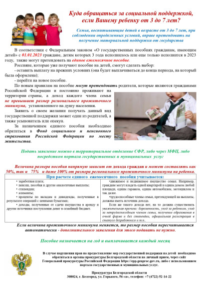 Пособия детям. Пособия детям.